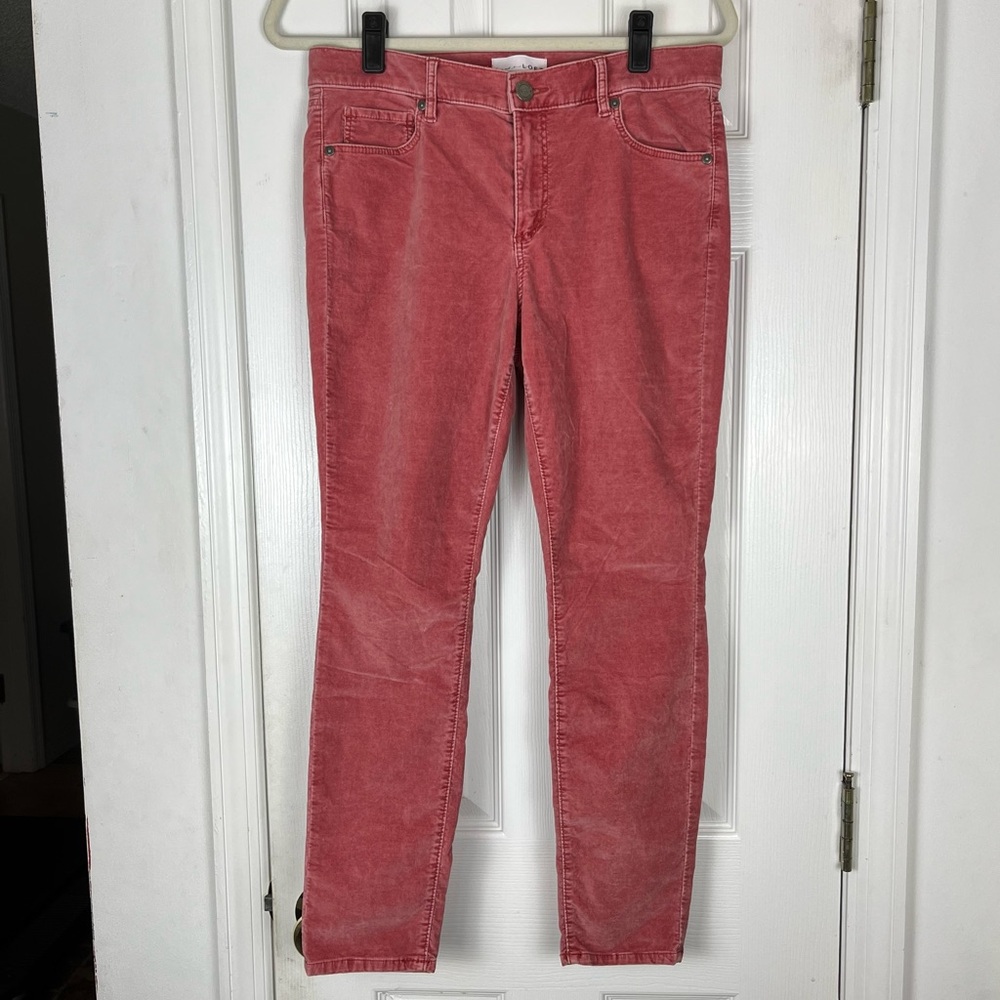 Loft Petite Modern Skinny Velvety Pants Sz 29/8 Stretch